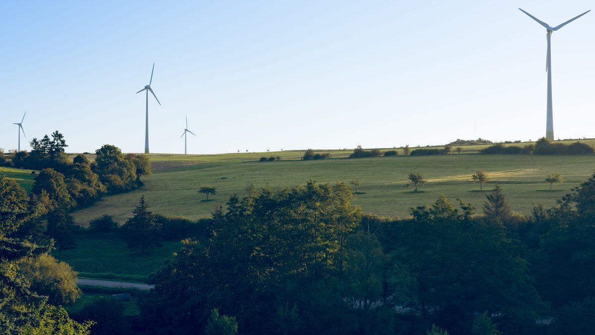 Massimo Bernardo De Dominicis_Dalla CSR ai criteri ESG