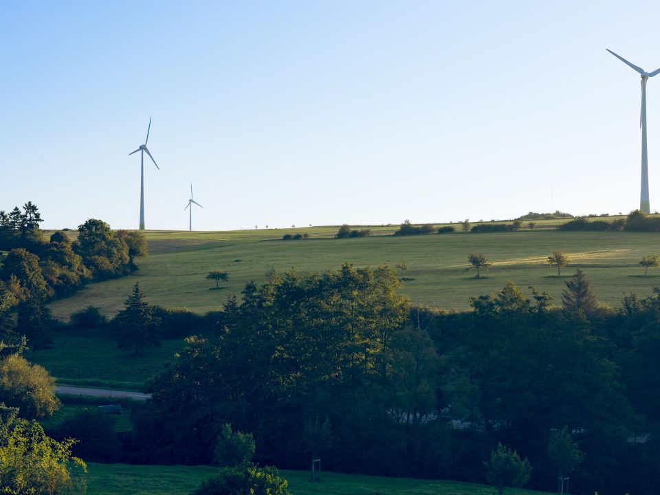 Massimo Bernardo De Dominicis_Dalla CSR ai criteri ESG